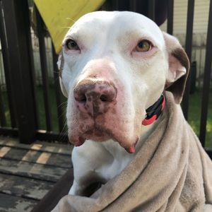 Meet your Posher, Karissa